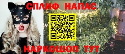 сатива Абакан