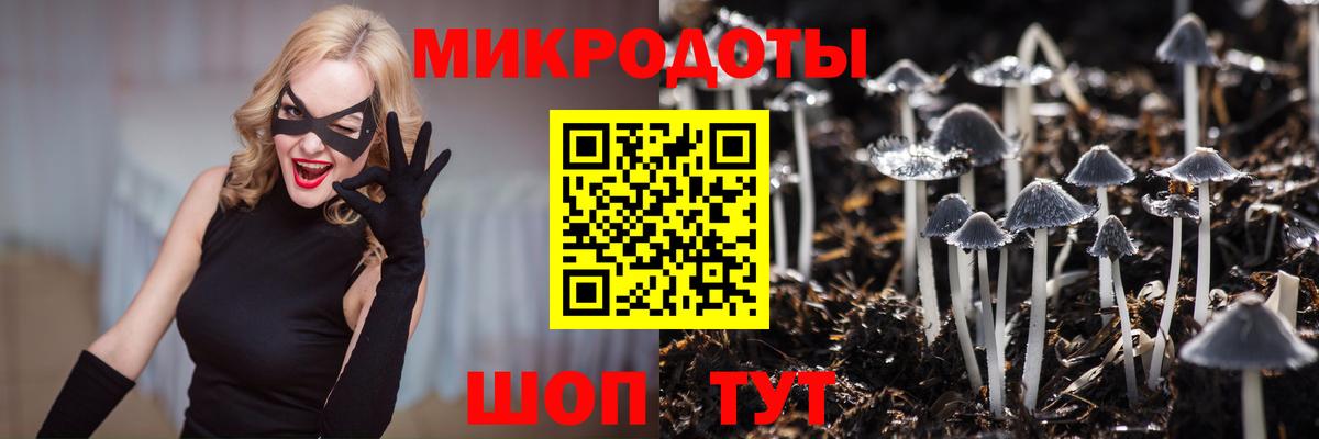Псилоцибиновые грибы GOLDEN TEACHER Киреевск